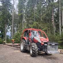 nicole-bicek1 Avatar