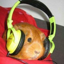 birgit-bootsma-mai Avatar