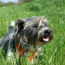 elvira-putzenhardt Avatar