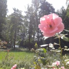 christina-k139 Avatar