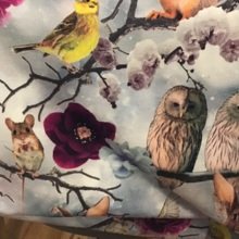 birgit-lohage Avatar