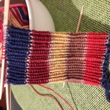 rose-tscharre Avatar