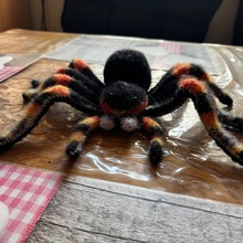 michaela-dietl Avatar