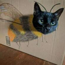 heidi-pfeiffer Avatar