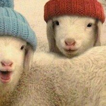 andrea-wortmann3 Avatar