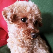 waltraud-stahl Avatar