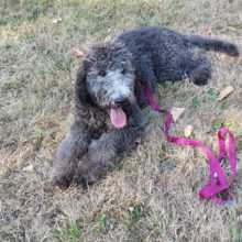 cathrin-nonnenmacher Avatar