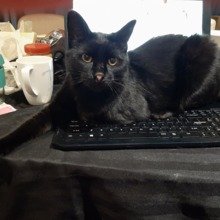 christine-regan Avatar