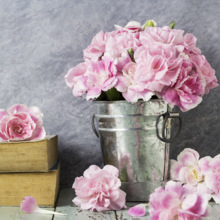 margrith-schmid Avatar