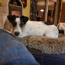 iris-meinecke Avatar