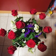 jacqueline-meinke Avatar