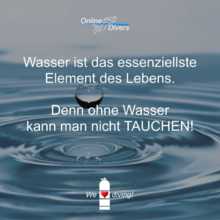 cornelia-morgenstern Avatar