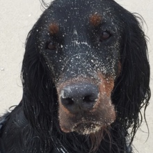 barbara-klaas Avatar