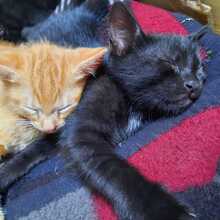 nina-baumgaertner Avatar