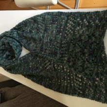 cornelia-bokelmann Avatar