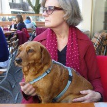 katrin-schneider8 Avatar