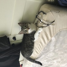 kerstinbenhsain Avatar