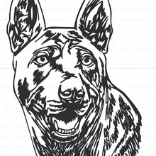 ConnyNRW Avatar
