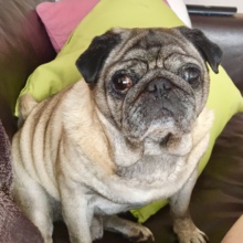 manuela-uhlig Avatar