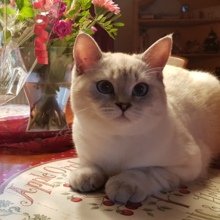 kathrin-mollenhauer Avatar