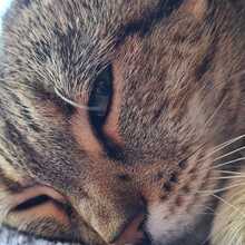 elsbeth-milch Avatar