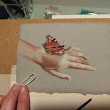 renate-bauer2 Avatar