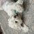 marlowe-prinzing