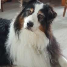 karin-becker6 Avatar