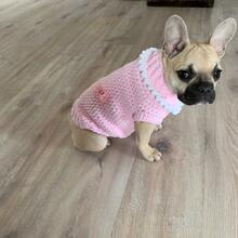 petra-huellein Avatar