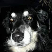 gabriele-schmidt8 Avatar