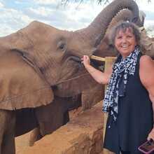 ilona-reinecke Avatar