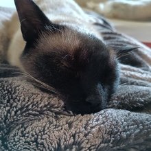 julia-guthoff Avatar