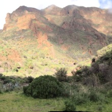 ingrid-minuth Avatar