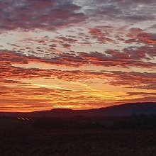 karin-grassinger Avatar