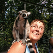 heinke-hennings1 Avatar