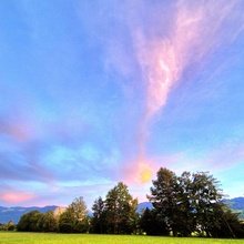 melanie-schulthess Avatar