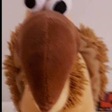 anke-fetzer01 Avatar