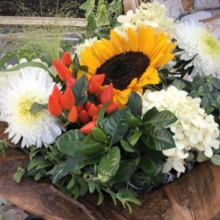 rita-teichert Avatar