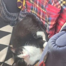 ulrike-walter28 Avatar