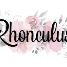 patricia-reichert Avatar