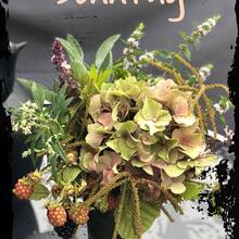 silvia-huettmann Avatar