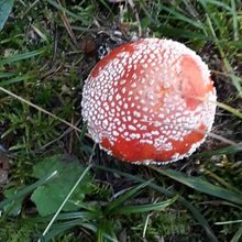 ingrid-windisch1 Avatar