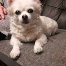 hiltrud-hoffmann Avatar