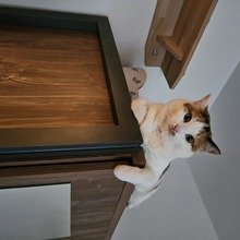 daniela-stegmaier Avatar