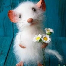 cornelia-koennecker Avatar