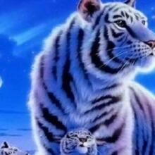 ines-heistermann Avatar