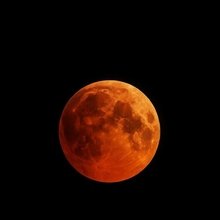 miriam-hoffmann359 Avatar