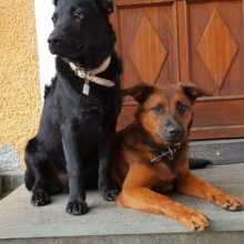 anita-rottenkolber Avatar