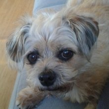 -christina-bach- Avatar