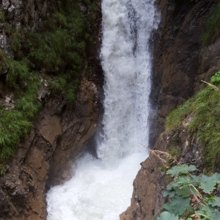 elisabeth-laroche Avatar